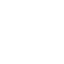 Fast Shipping